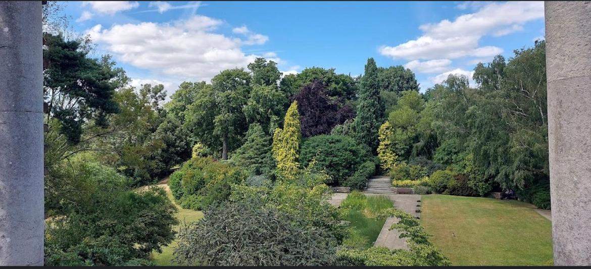 Hampstead Opulence Apartment - Luxurious Split Level Property London Eksteriør bilde