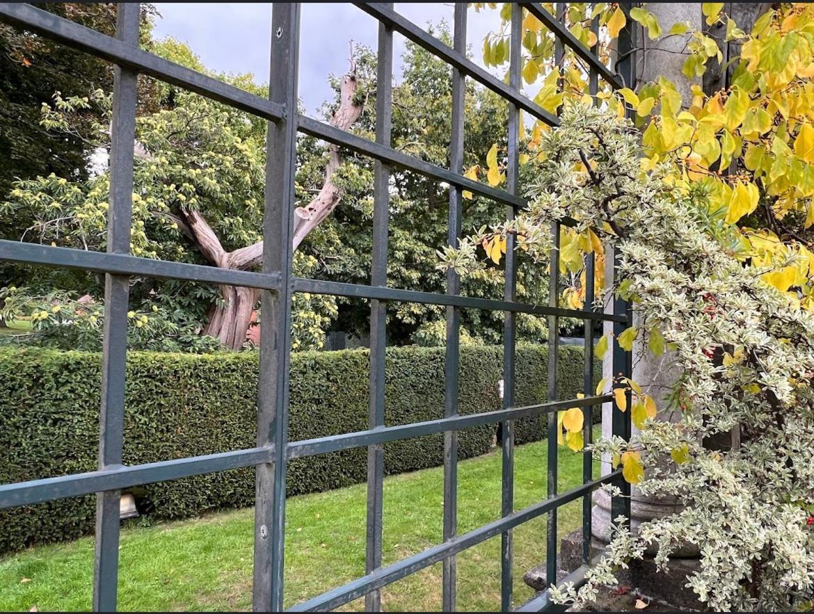 Hampstead Opulence Apartment - Luxurious Split Level Property London Eksteriør bilde